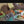 Load and play video in Gallery viewer, Buy a Roll Up Rack Get a Rotary Slicer Free